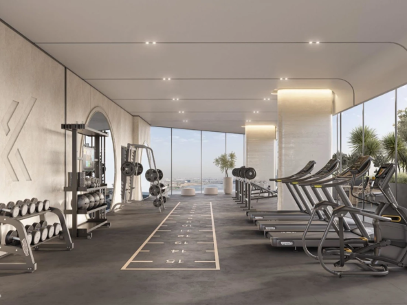 03EnP09o235Bp1KK-1733740409