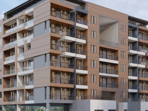 2fFAjbidJ529dXVA-1736404523