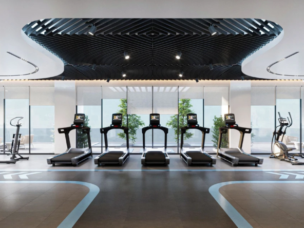 5Ru1gcowkQCELIbY-1717219466