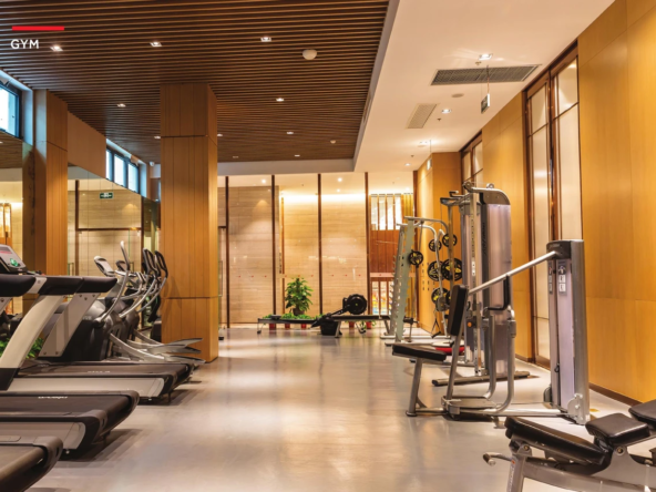 LW1gnEWV9wGTh2Pk-1735127913