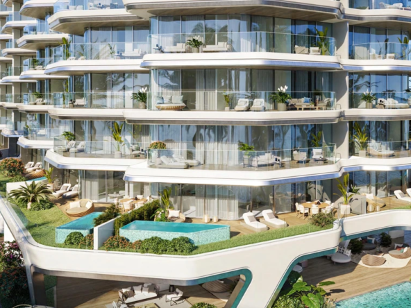 NaPYGJhhlhyV1vRN-1729868597