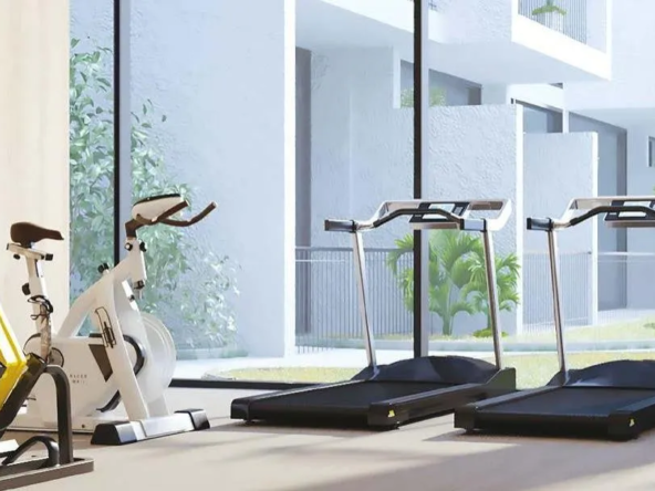 oCIbJ1NJLuDeQJuy-1710044616